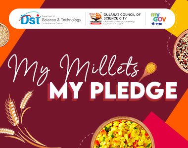 My Millets For My Health Pledge